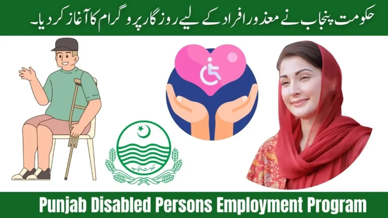 Pakistan Government Launched Punjab Disabled Persons Employment Program 2025